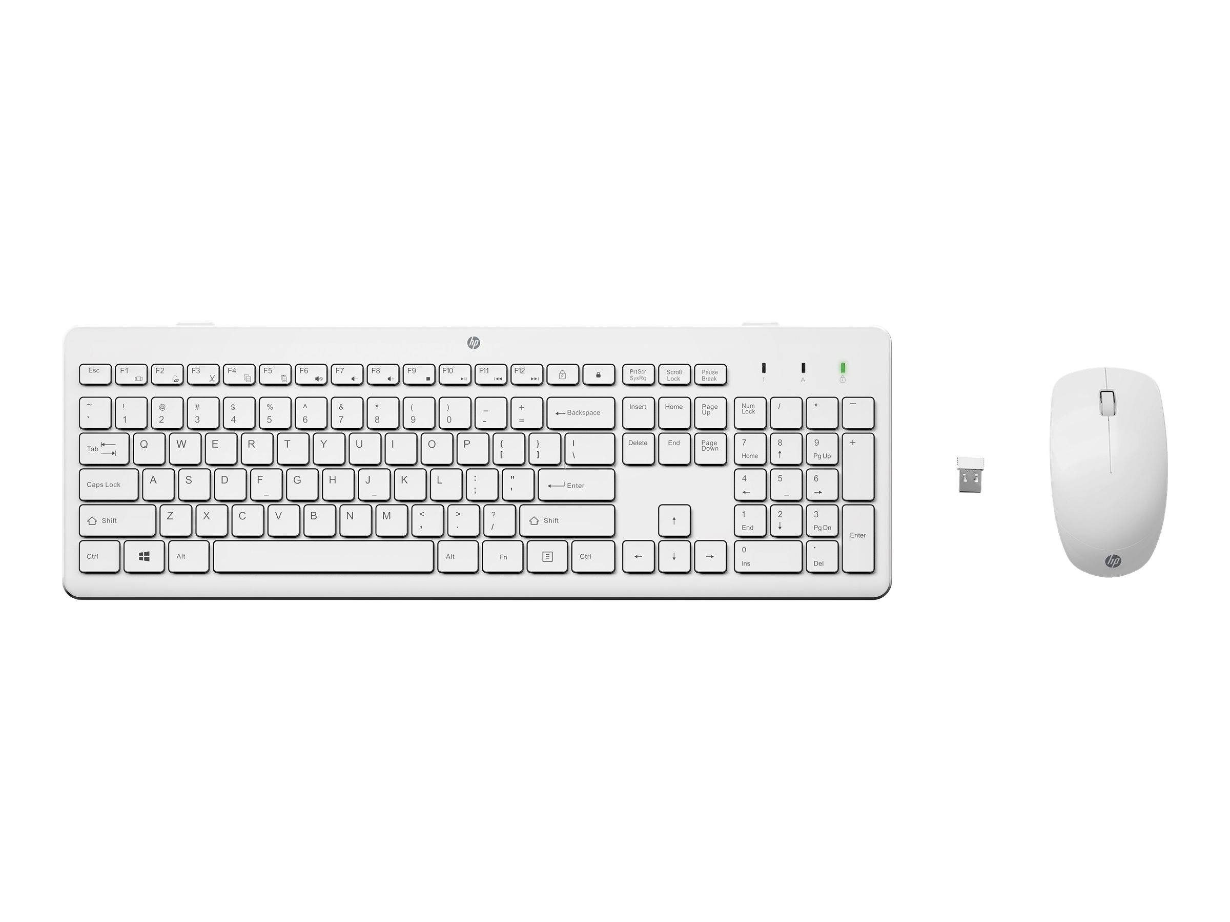 Weiße kabellose Tastatur und Maus mit USB-Empfänger auf einfachem Hintergrund.