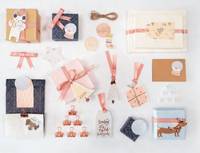 Verschiedene Geschenkboxen, Bänder und dekorative Anhänger, die auf einer ebenen Fläche angeordnet sind und eine pastellfarbene Geschenkverpackungskollektion zeigen.