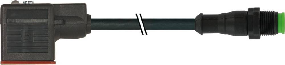 Murrelektronik Verbindungsleitung 7005-40881-6360300