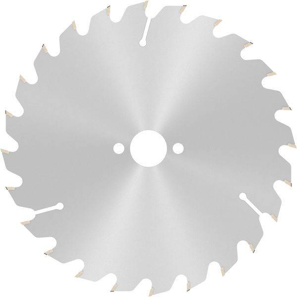 Eine Kreissägeblatt mit scharfen, gleichmäßig um den Rand verteilten Zähnen.