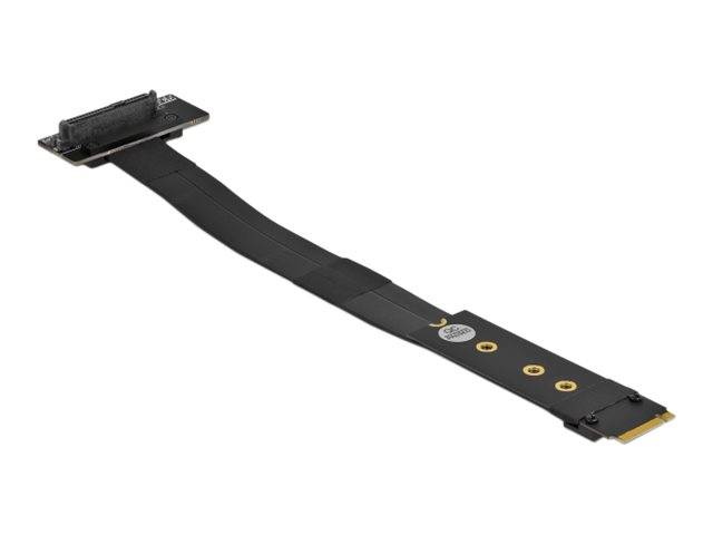 Delock Schnittstellenadapter - U.2 NVMe - M.2 - Card