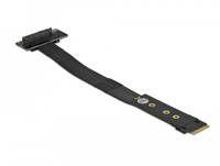 Delock Schnittstellenadapter - U.2 NVMe - M.2 - Card