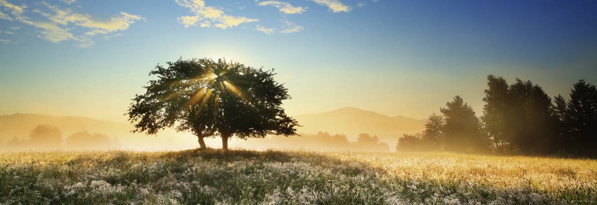 HEYE 29901 Edition Humboldt Play of Light 1000 Teile Panorama Puzzle