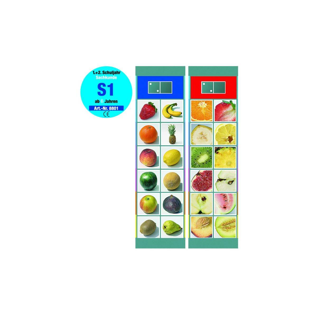 68801 - Set S 1: Sachkunde-Pflanzen - Flocards, Figurenspiel, für 1 Spieler, ab 6 Jahren