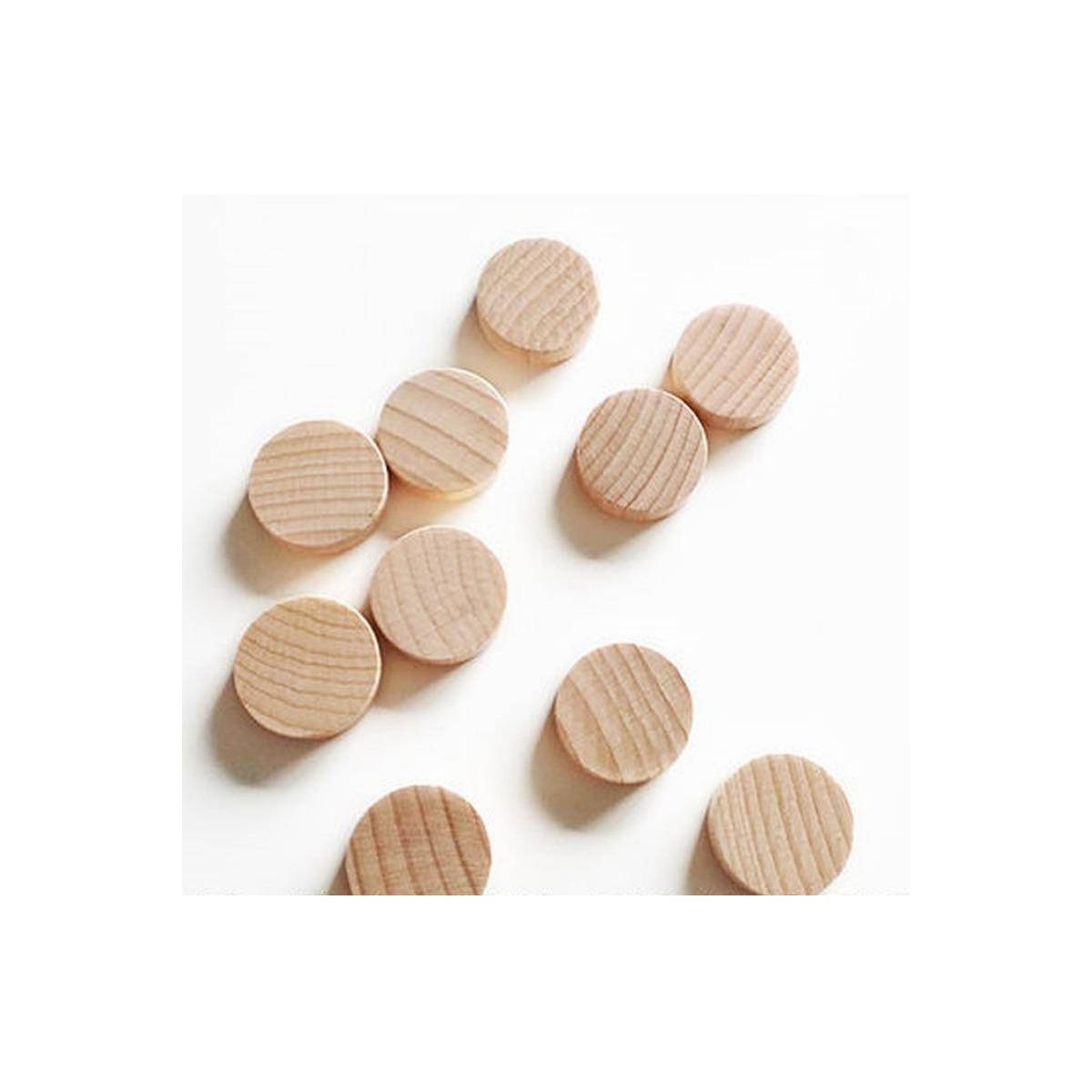 FG034 - Passe Trappe - 10x Discs Micro