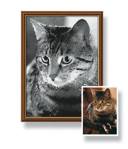 Schipper 602100371 Male deinen Liebling in schwarz/weiss Malen nach Zahlen