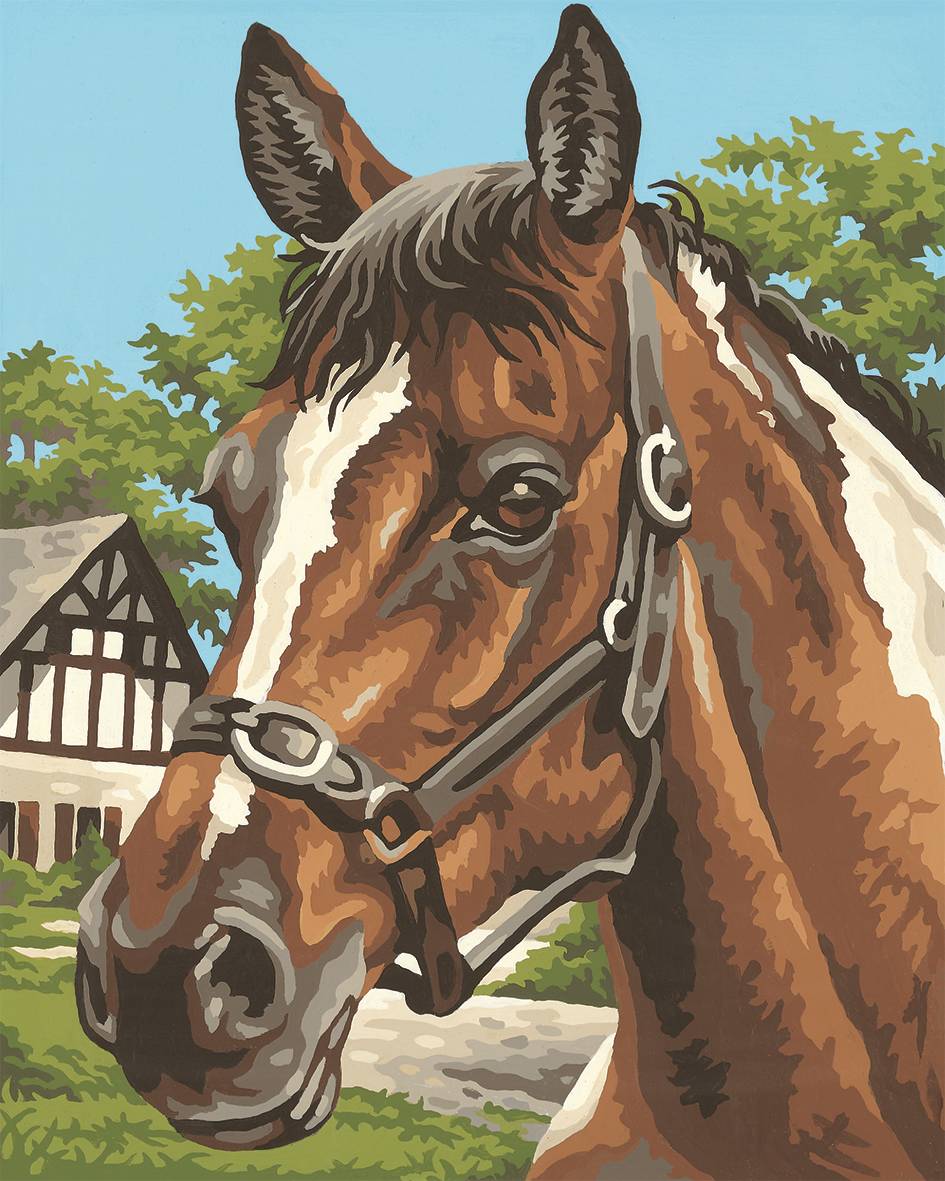 Schipper 609240381 Malen nach Zahlen Pferdeporträt