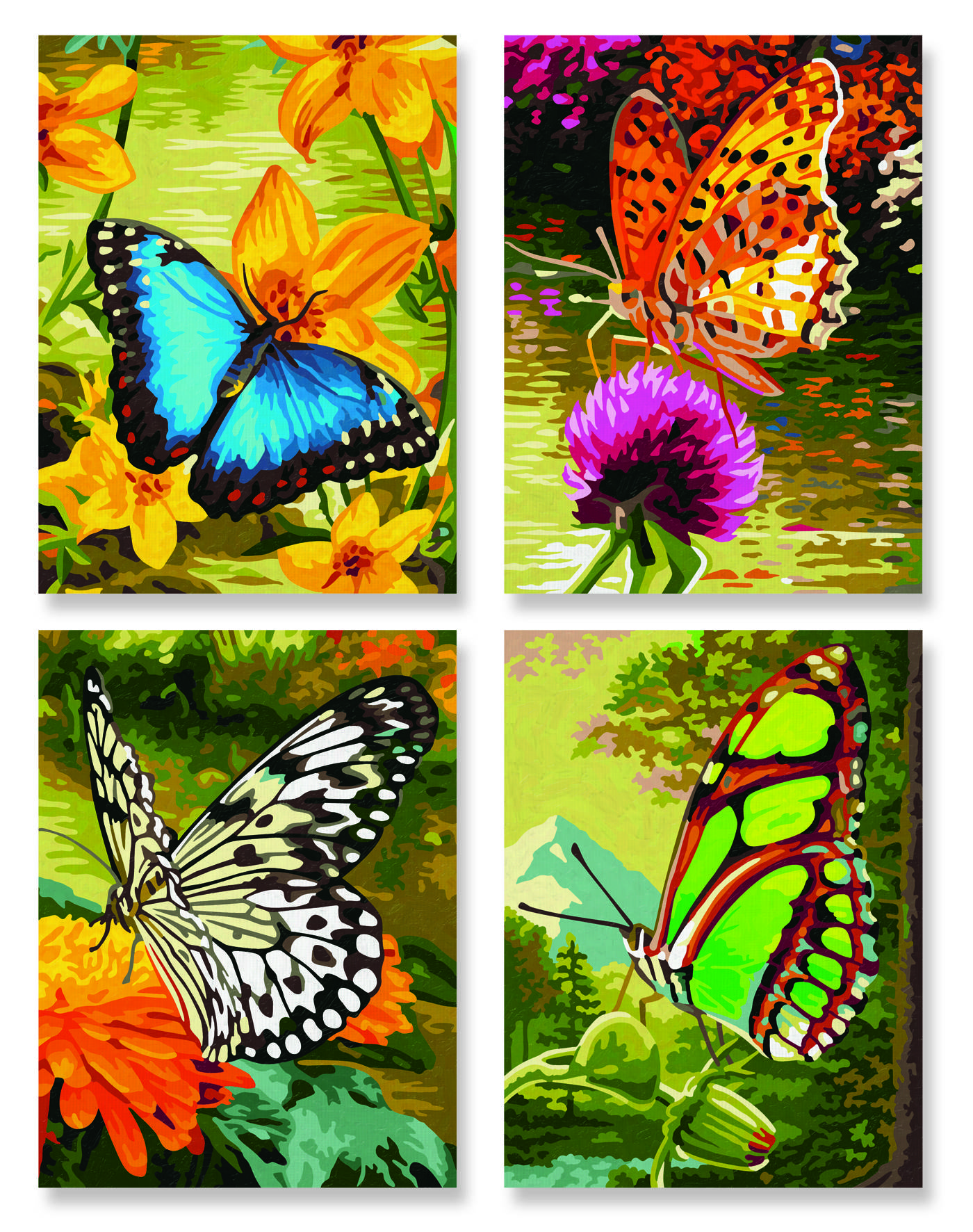 Schipper 609340628 Schmetterlinge Malen nach Zahlen