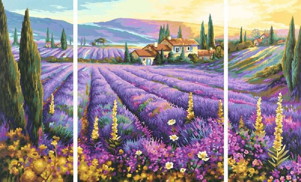 Schipper 609260604 Lavendelfelder Triptychon Malen nach Zahlen