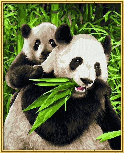 Schipper 609240712 Pandabären Malen nach Zahlen