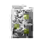5528 - Haeckel: Kolibris - Puzzle, 1000 Teile