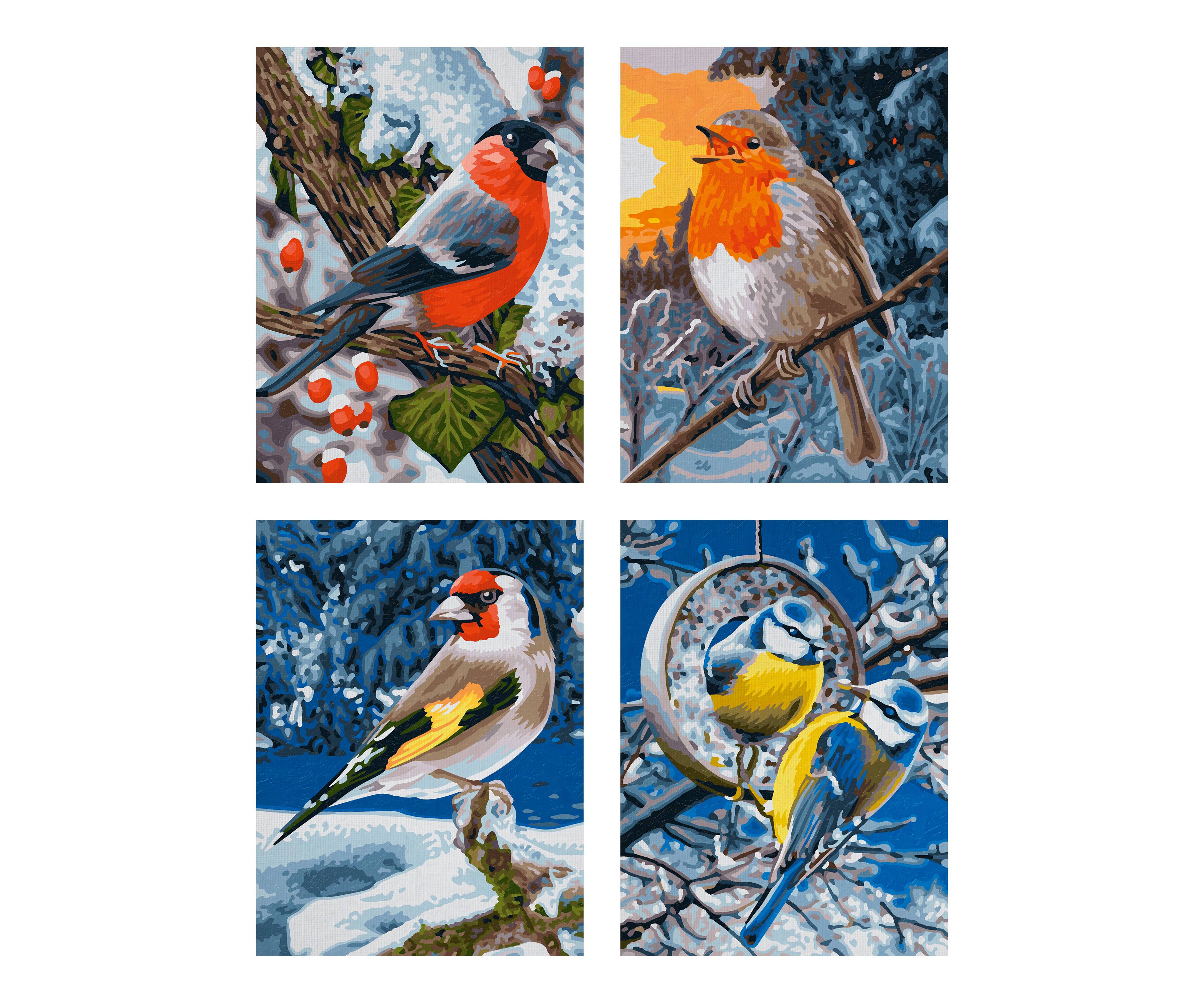 Schipper 609340661 Wintervögel (Quattro) Malen nach Zahlen