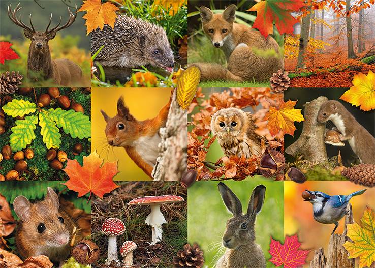 Tiere im Herbst 1000 Teile Puzzle