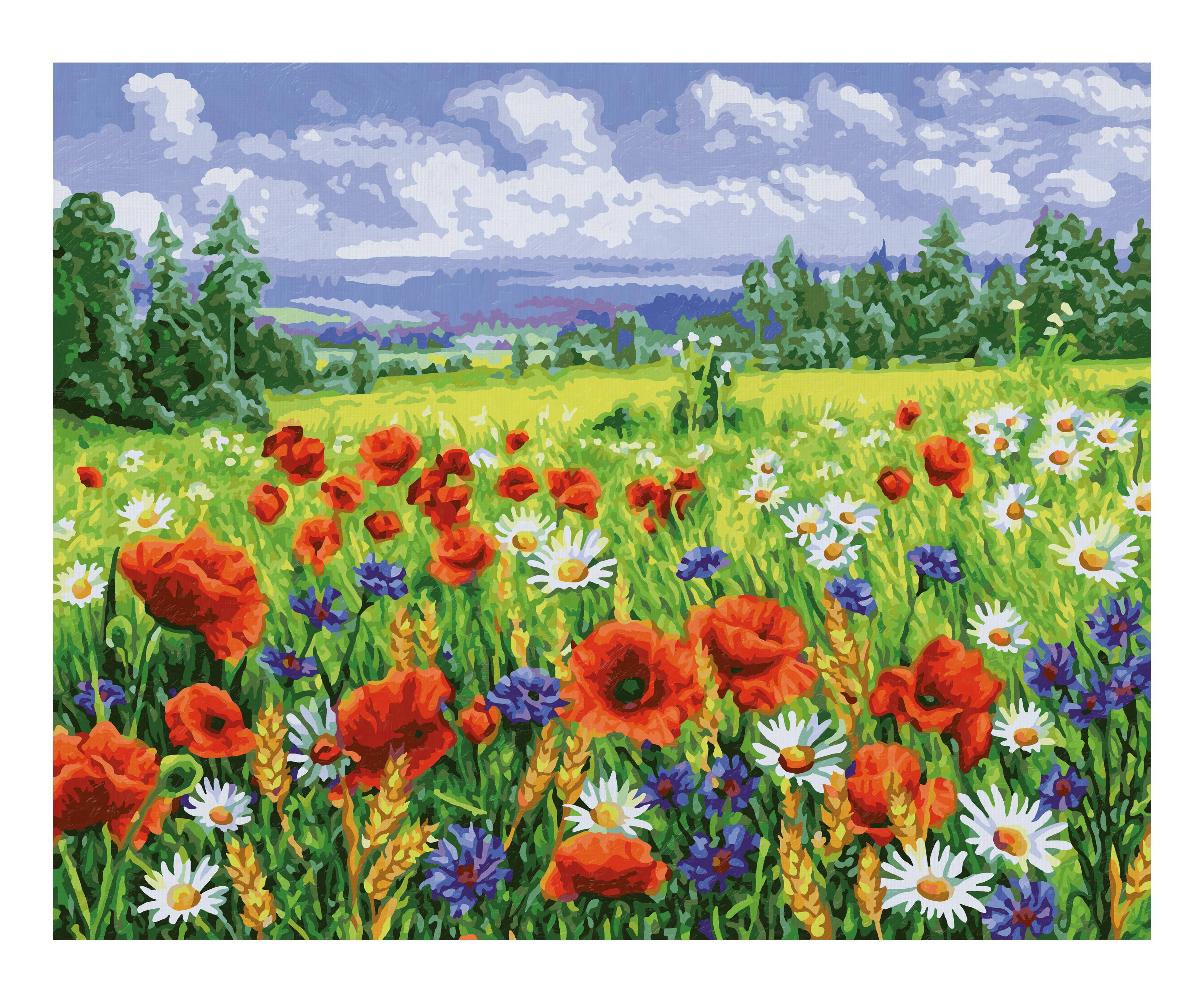 Schipper 609130824 Blumenwiese 40x50cm Malen nach Zahlen