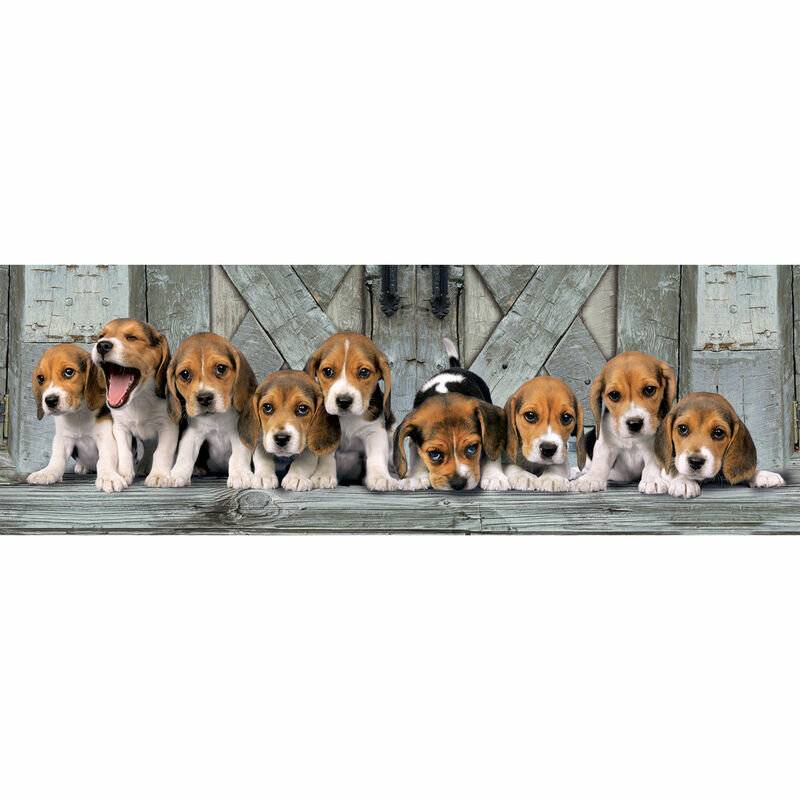 High Quality Panorama - 1000 Teile Puzzle NP - Beagles