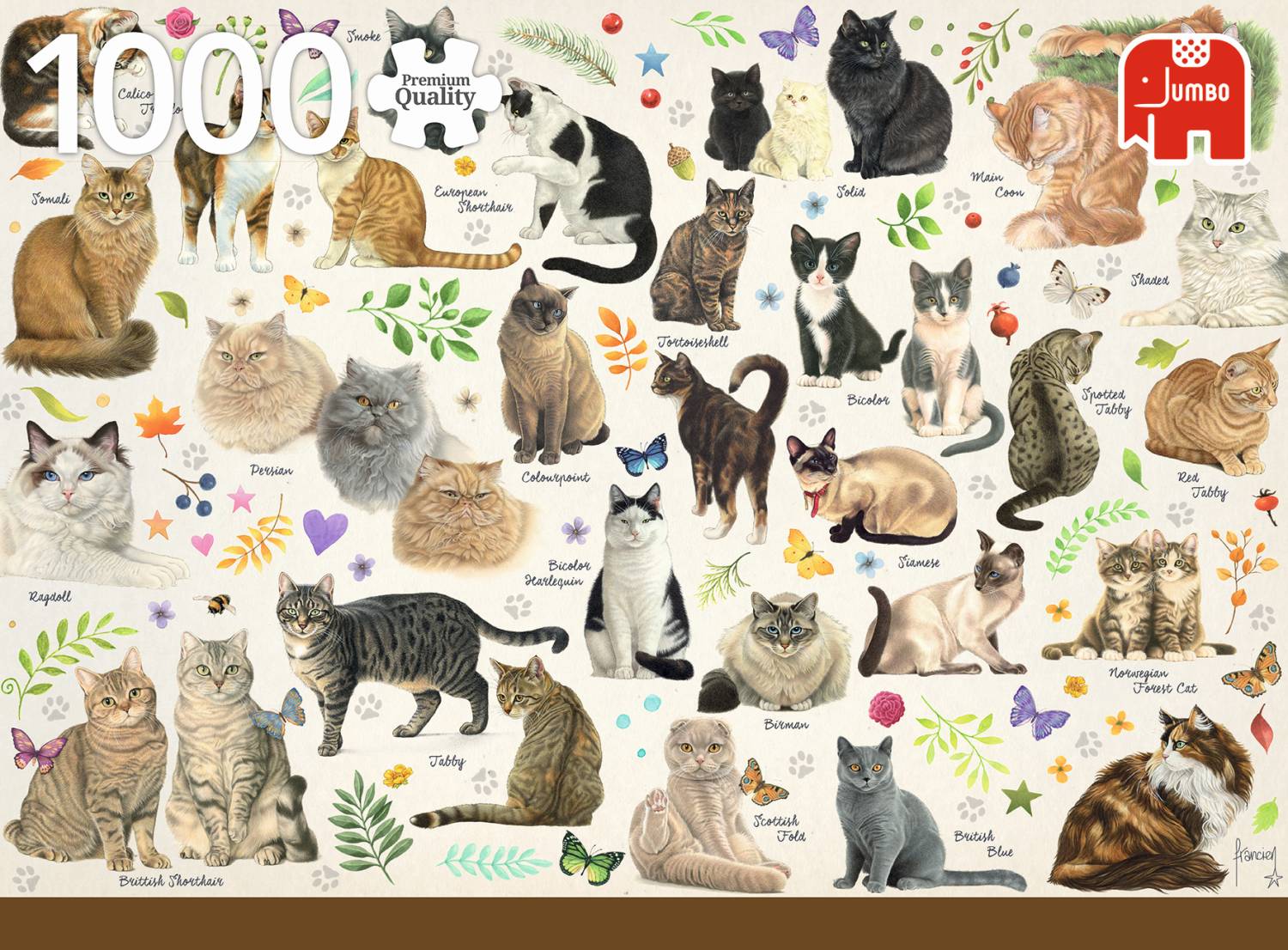 Jumbo 18595 Katzenposter 1000 Teile Puzzle