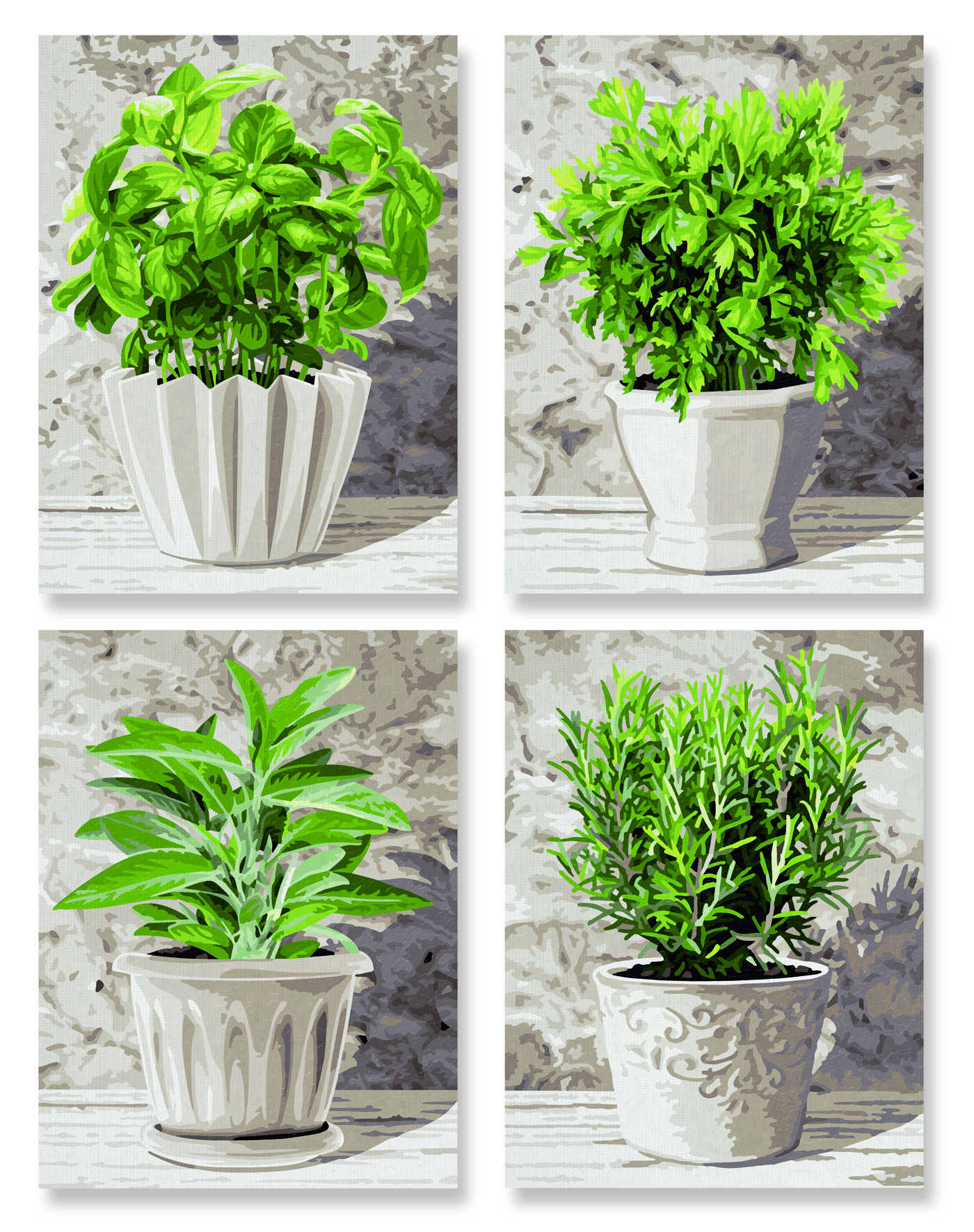 Schipper 609340687 Küchenkräuter (Quattro) Malen nach Zahlen