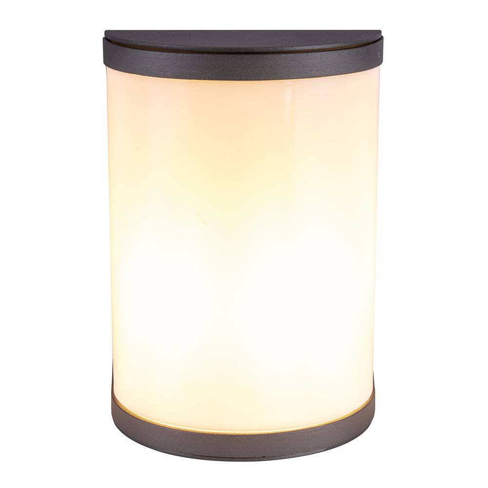 Außenlampe Wandleuchte Eingangsbeleuchtung Garten Außenleuchte aus Aluminium, dimmbar Fernbedienung anthrazit, 1x RGB LED 9W, HxBxA 20 x 14 x 14,7