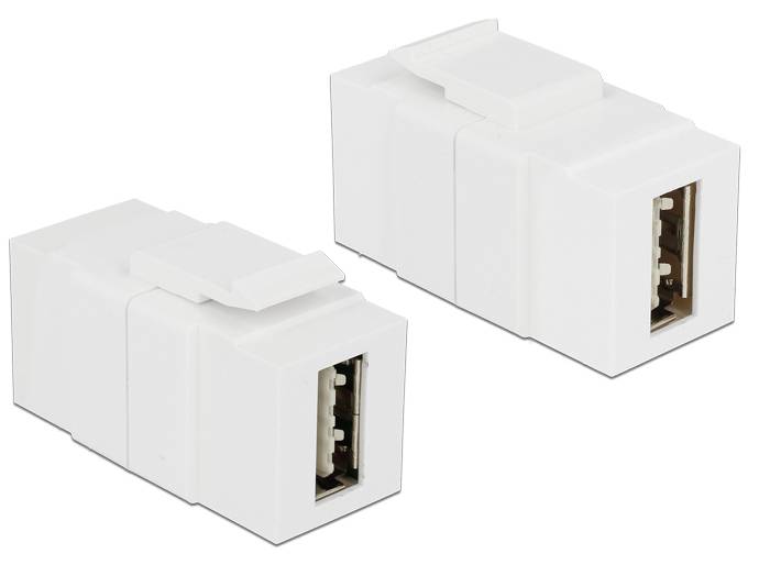 DeLOCK Keystone module - USB-Adapter - USB (W)
