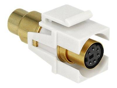 DeLOCK Keystone module - Modulare Eingabe - PS/2