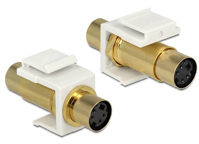 DeLOCK Keystone module - Modulare Eingabe - Mini-DIN