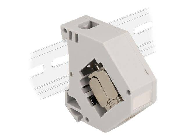 DeLOCK - Modularadapter - DIN schienenmontierbar