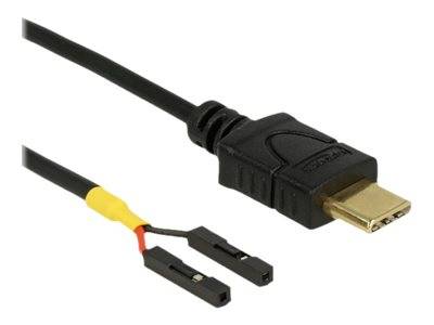 Delock USB-Kabel - USB-C (M) bis 2-poliger USB-Header (W) - getrennt - USB 2.0 -