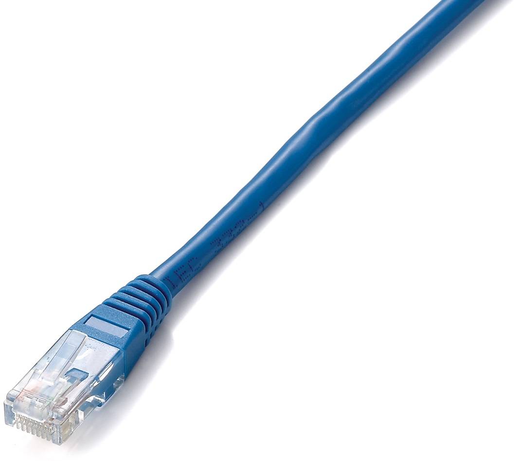 Blaues Ethernet-Kabel mit einem RJ45-Stecker auf weißem Hintergrund.