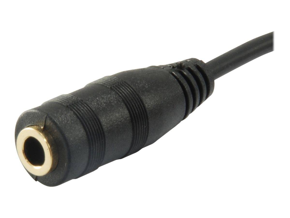 Schwarzes Audio-Adapterkabel mit weiblichem 3,5-mm-Klinkenstecker