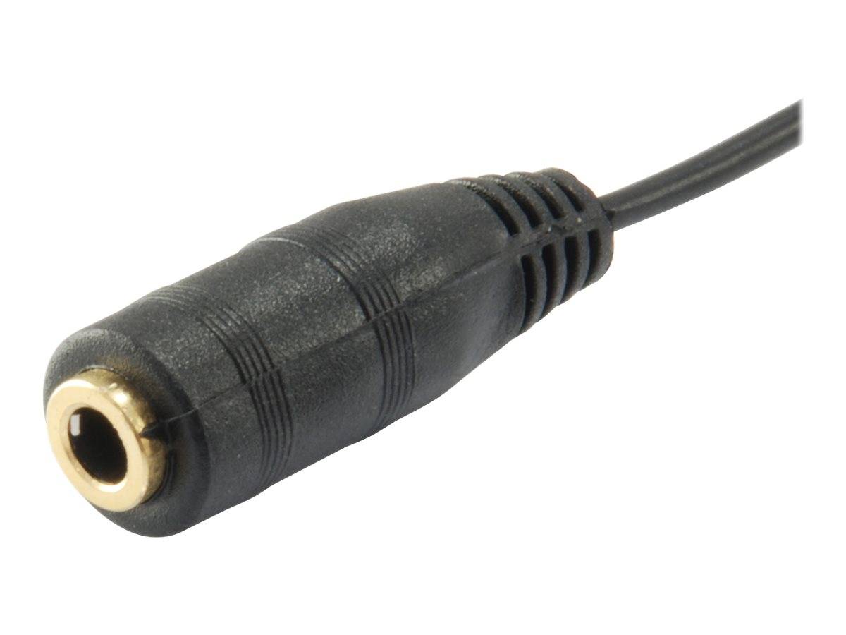 Nahaufnahme eines schwarzen Audio-Adapterkabels mit einer vergoldeten weiblichen Buchsenstecker auf weißem Hintergrund.