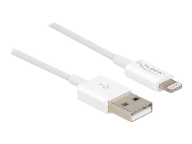 Delock - Lightning-Kabel - Lightning männlich bis USB männlich - 1 m - weiß - für Apple iPad/iPhone/iPod (Lightning)