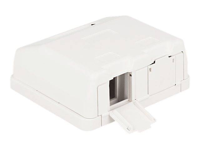 Delock Keystone Surface Mounted Box - Gehäuse mit modularen Einsätzen
