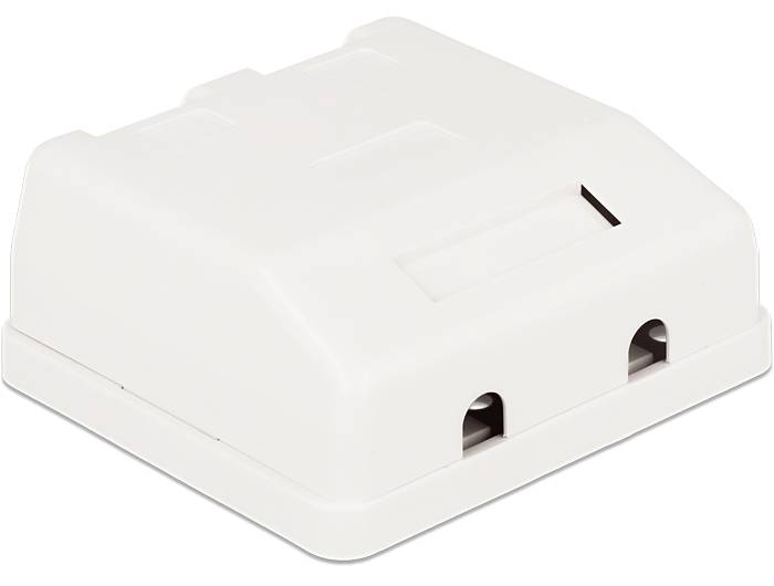 Delock Keystone Surface Mounted Box - Gehäuse mit modularen Einsätzen