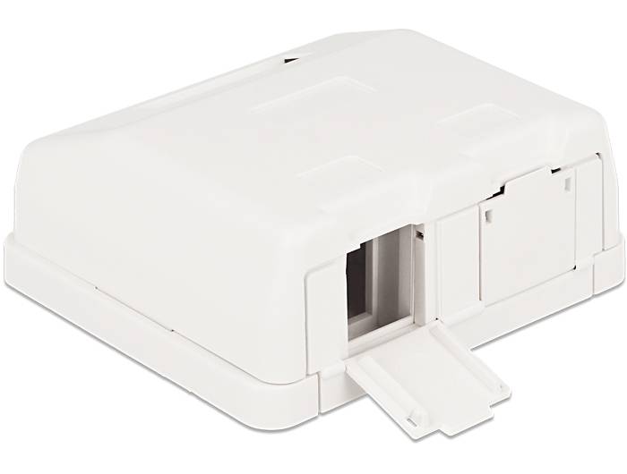 Delock Keystone Surface Mounted Box - Gehäuse mit modularen Einsätzen