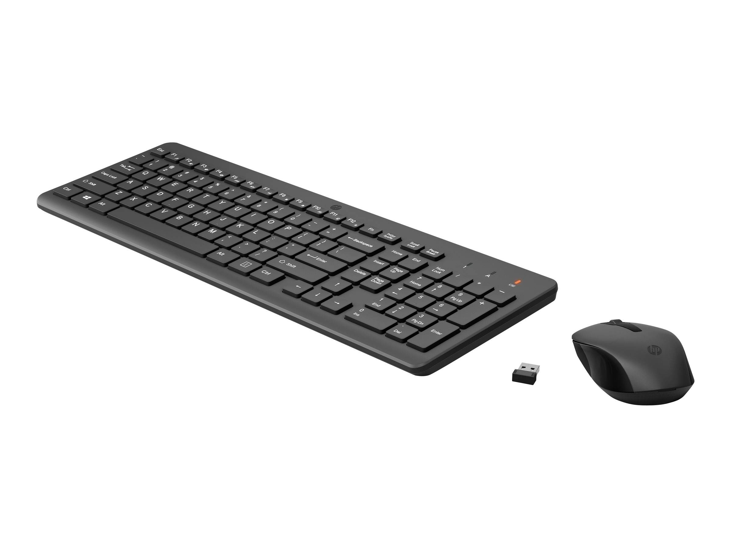 Drahtlose Tastatur- und Mausgarnitur mit USB-Empfänger auf weißem Hintergrund.
