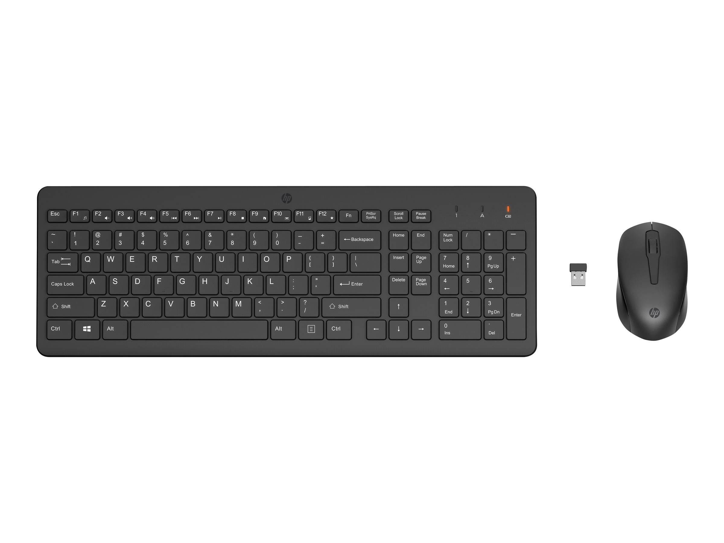 Kabelloses schwarzes Tastatur- und Mausset mit USB-Empfänger auf weißem Hintergrund.