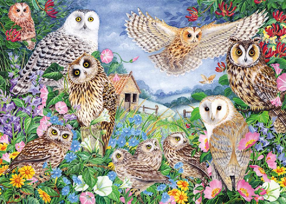 Falcon 11286 Owls in the Wood 1000 Teile Puzzle