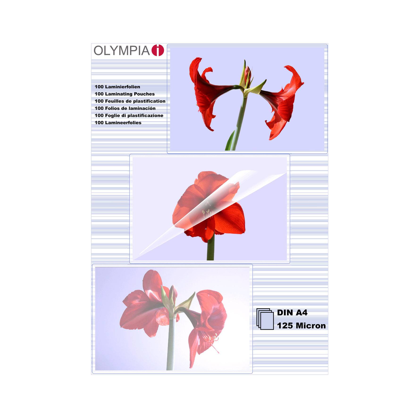 OLYMPIA - A4 (210 x 297 mm) 100 Stck. laminiertes