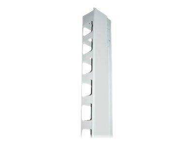 Intellinet 19"" Wall Mount Rails, 9U, Black, 2-pack - Kabelführungsplatte für Schaltschrank - Grau, RAL 7035 - 39U