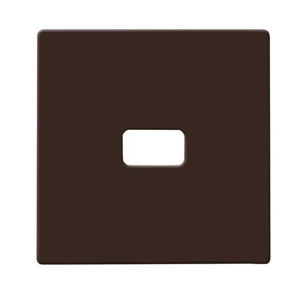 Busch-Jaeger Wippe braun 2120-31