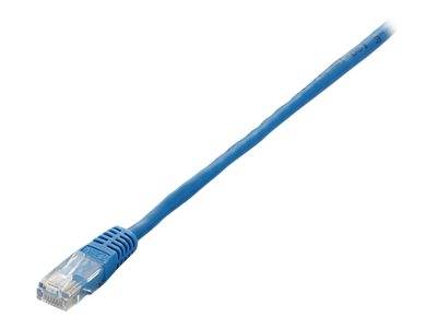 Blaues Ethernet-Netzwerkkabel mit RJ45-Stecker auf weißem Hintergrund.