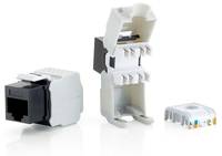 Equip Professional - Modulare Eingabe - CAT 6 - UTP - RJ-45 (Packung mit 8) - 45