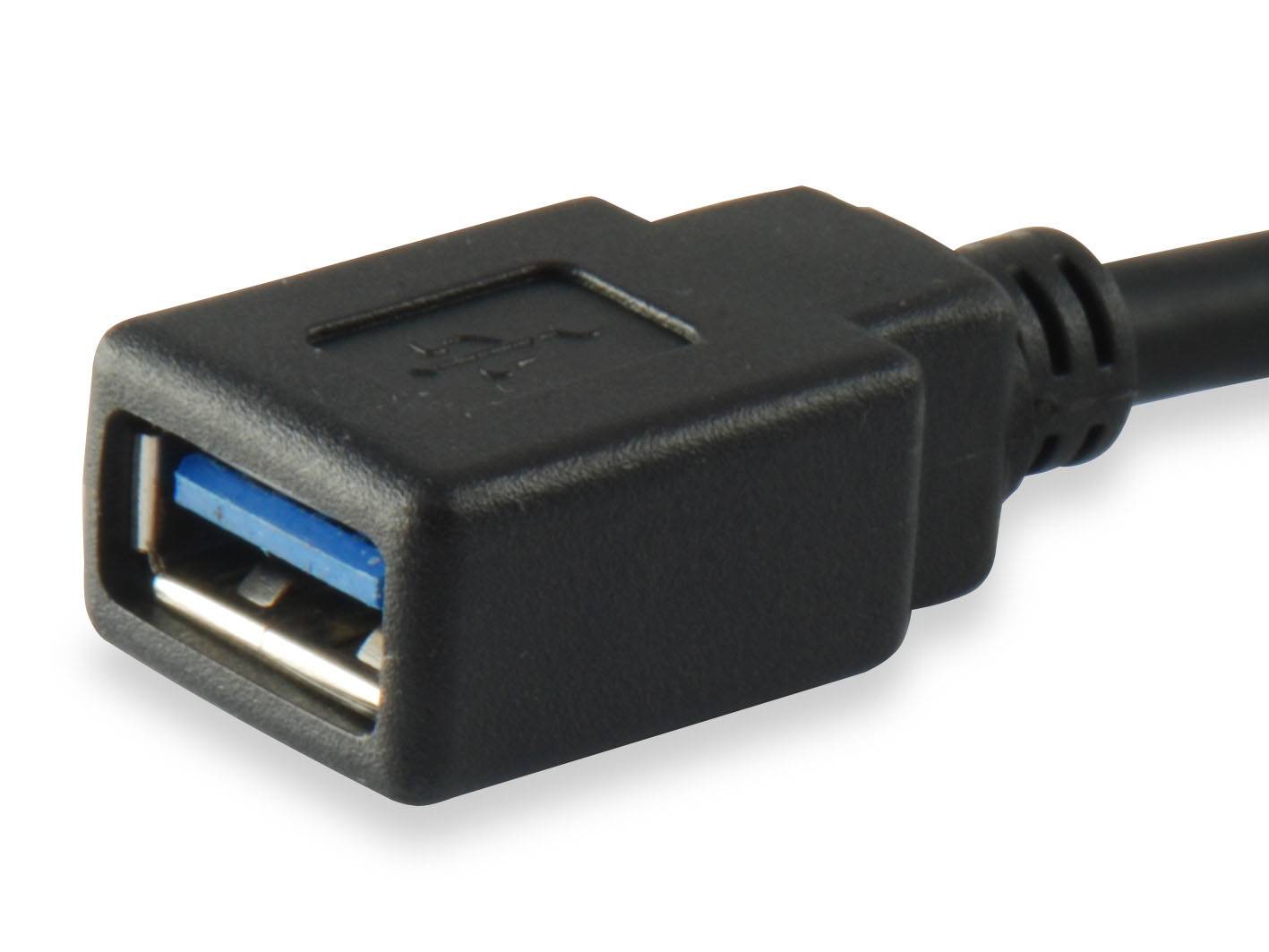 Nahaufnahme eines schwarzen USB-Typ-A-Buchsensteckers an einem Kabel, der verwendet wird, um USB-Geräte zu verlängern oder zu verbinden.