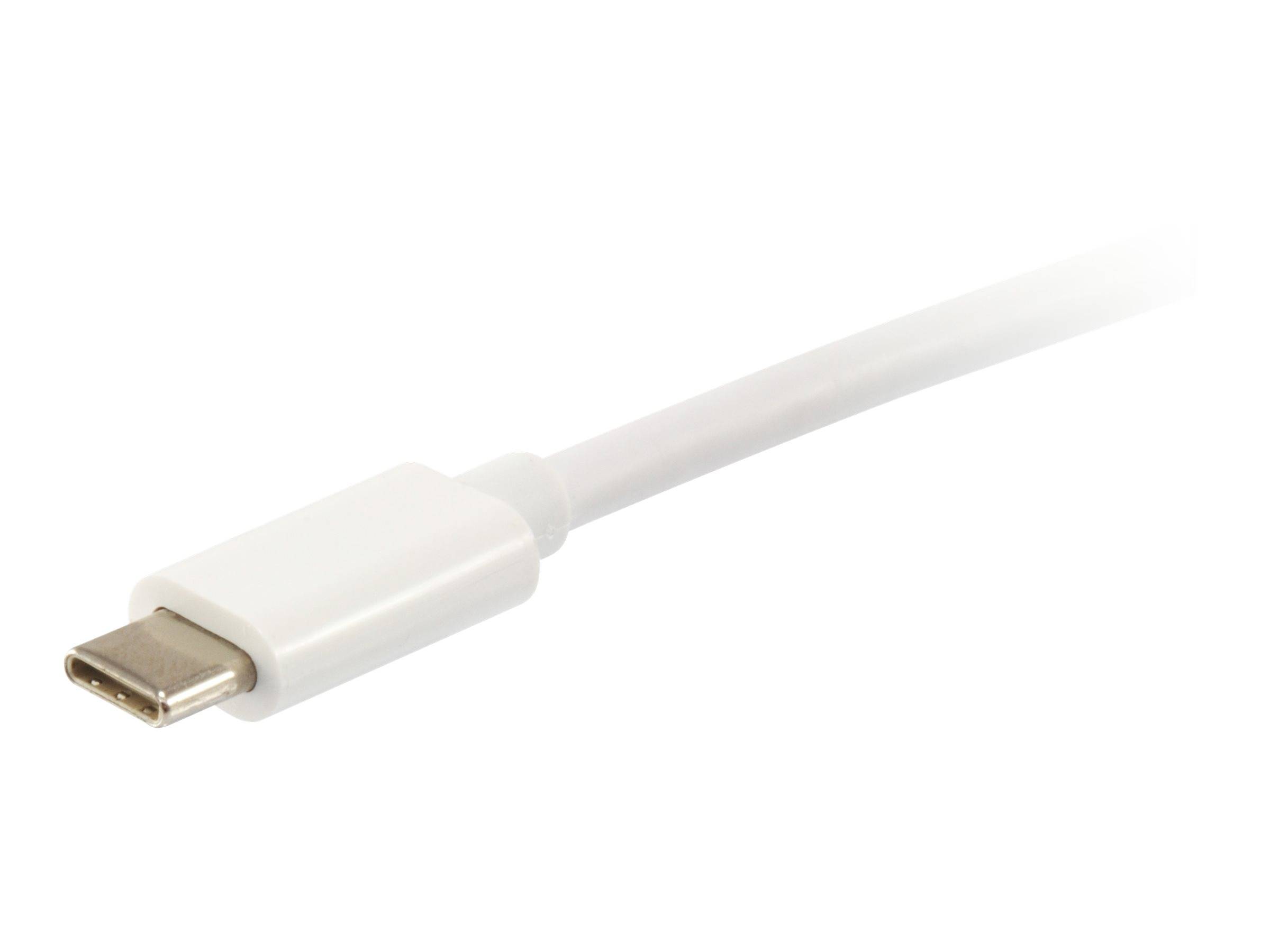 Equip Platinum - USB-Kabel - USB-C (M) bis USB-C (M)