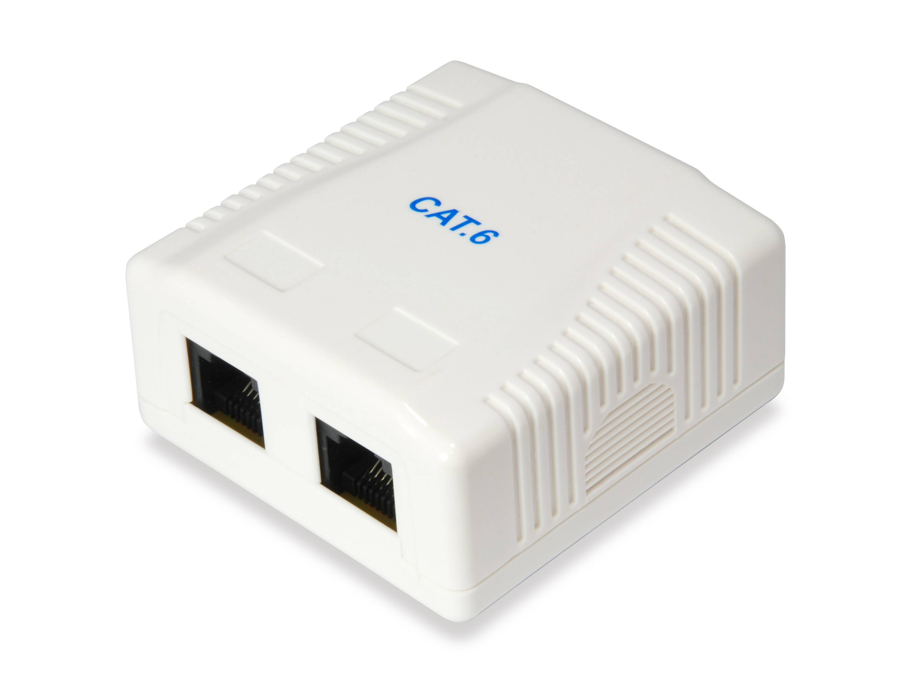 Weißer CAT.6 Ethernet-Wandanschluss-Splitter mit zwei vorderen Netzwerkports