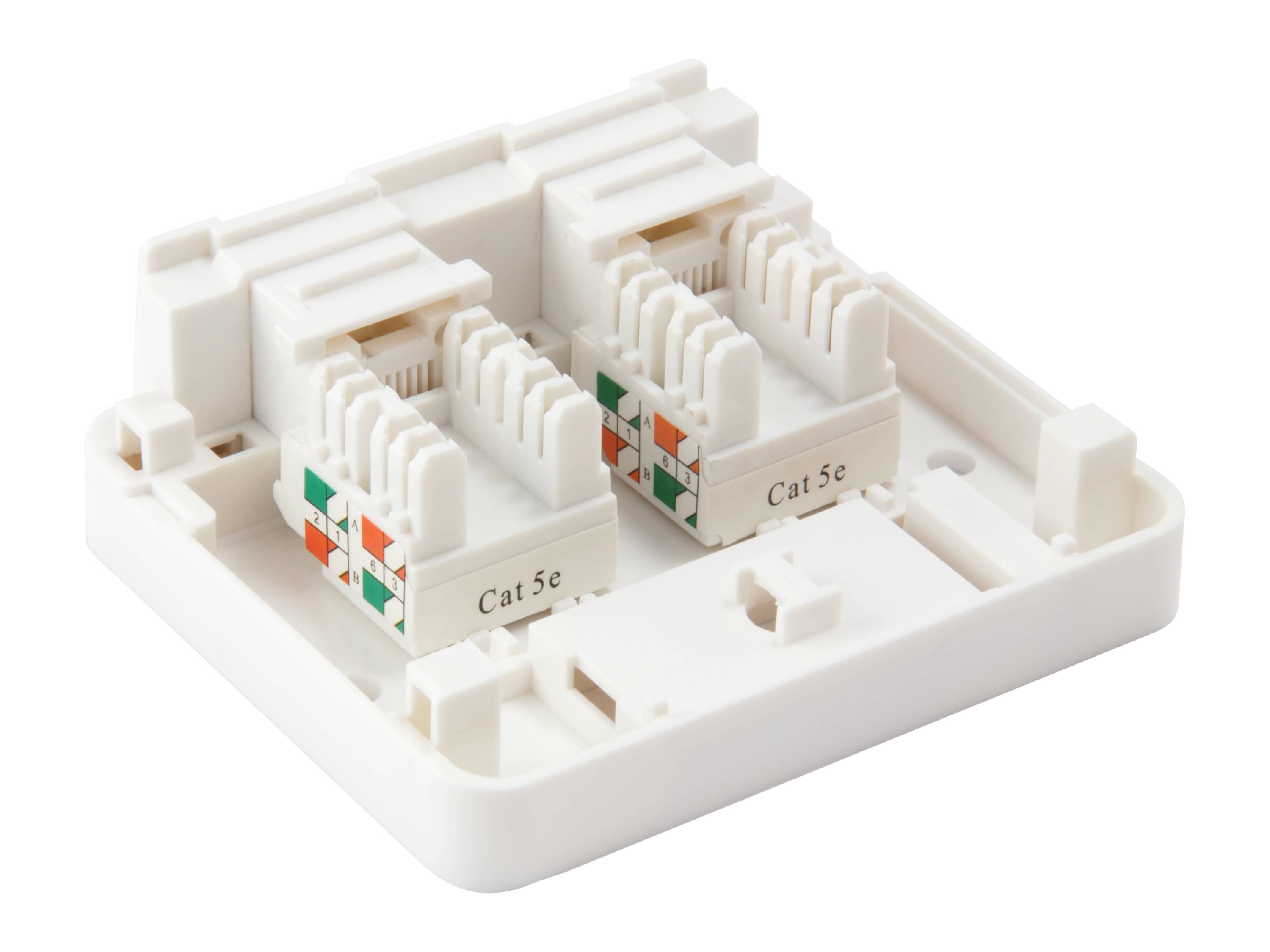 Zwei Cat-5e-Ethernet-Wanddosen in einem weißen Montageelement, dargestellt als modulare Netzwerkauslasskomponente.