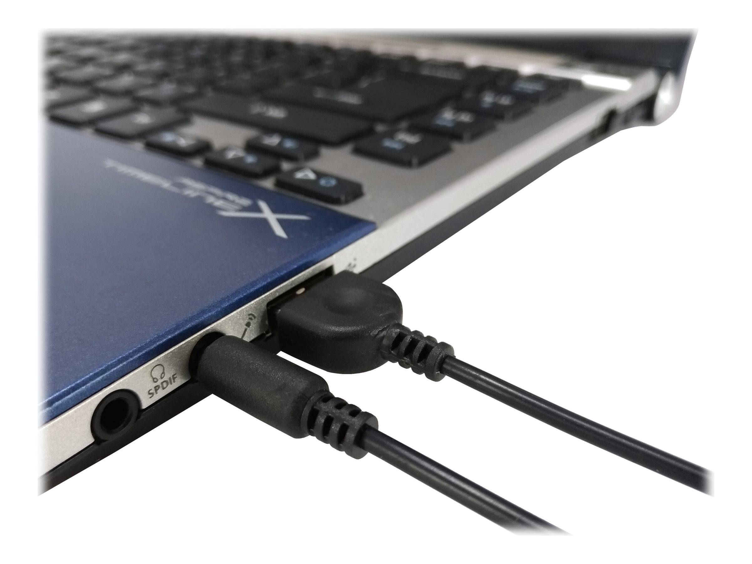 Nahaufnahme einer Laptop-Seite mit zwei Audiokabeln, die in die Kopfhörer- und Mikrofon-Buchsen eingesteckt sind.