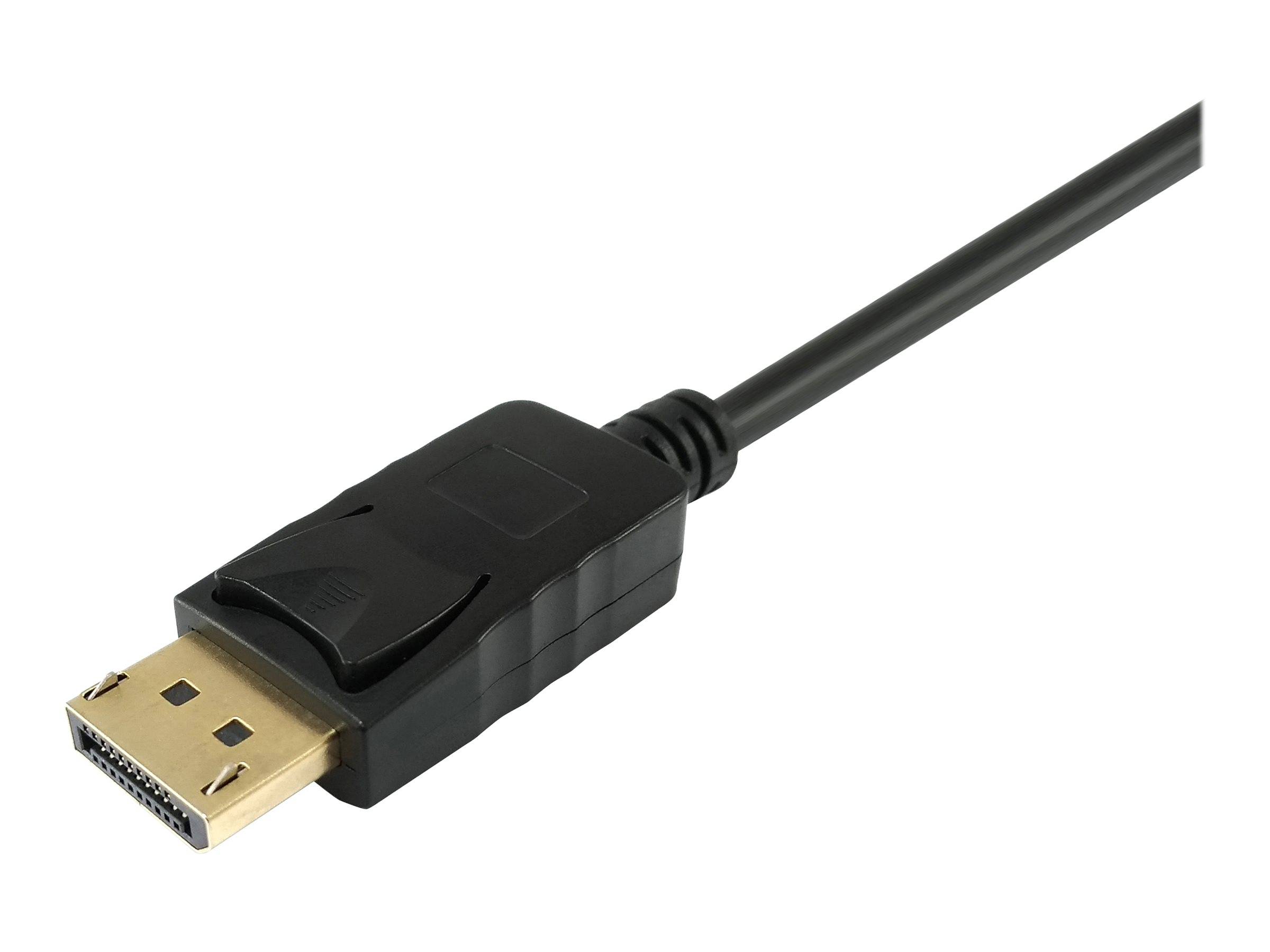 Nahaufnahme eines DisplayPort-Kabelsteckers mit schwarzem Gehäuse und vergoldeter Metallspitze auf weißem Hintergrund.