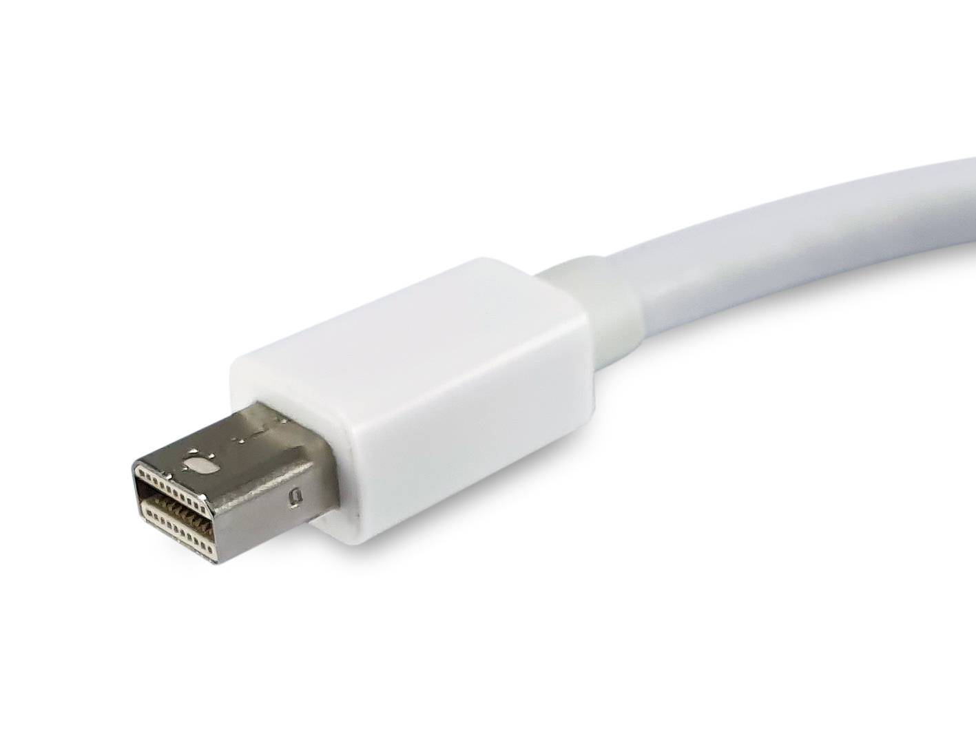 Equip Life - DisplayPort-Adapter - Mini DisplayPort (M)