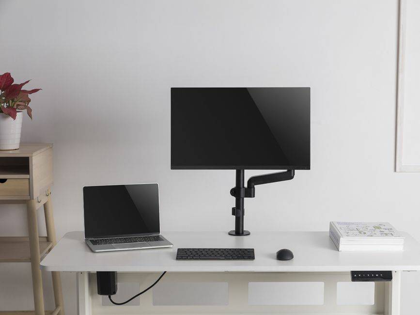 Equip 650132, Klemme, 9 kg, 33 cm (13 Zoll), 81,3 cm (32 Zoll), 100 x 100 mm, Schwarz